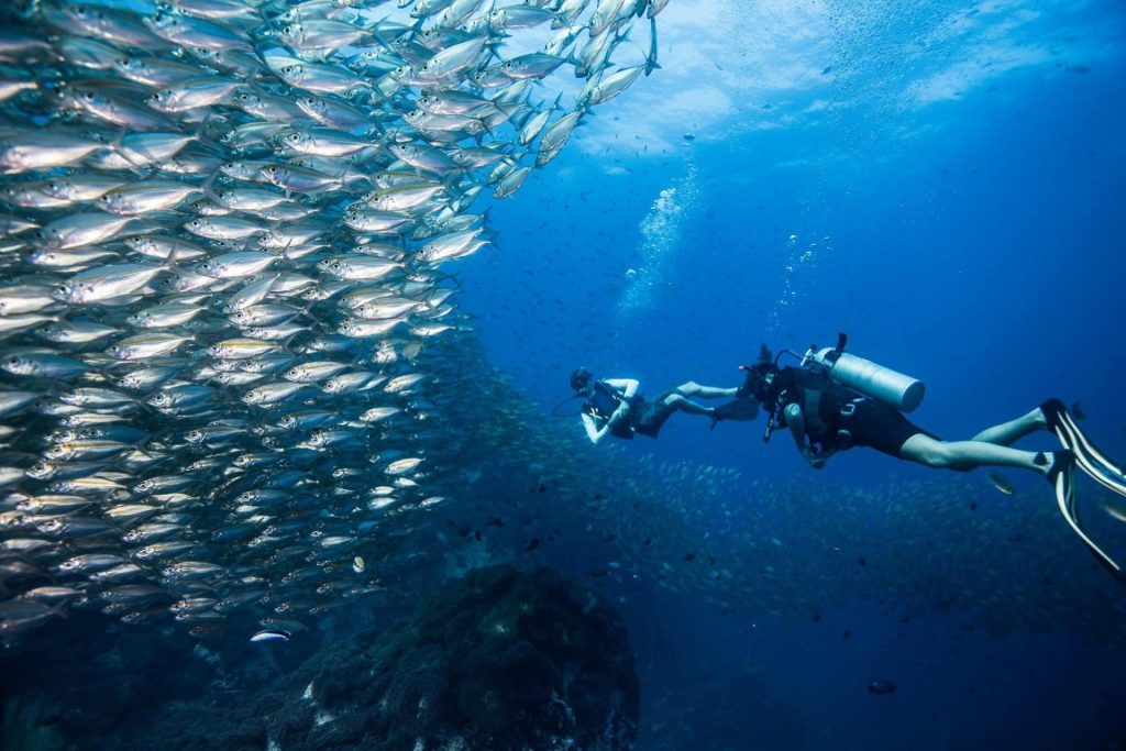 wit scuba instructor in koh tao thailand